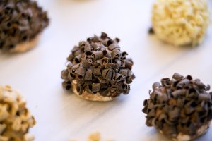 Burner-caprices_Harkin09