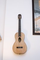 GUITAR_Harkin22