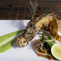 Lionfish - The New York Times