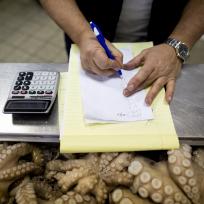 Octopus Garden - The New York Times